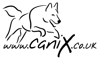 CaniX UK canicross running with dogs